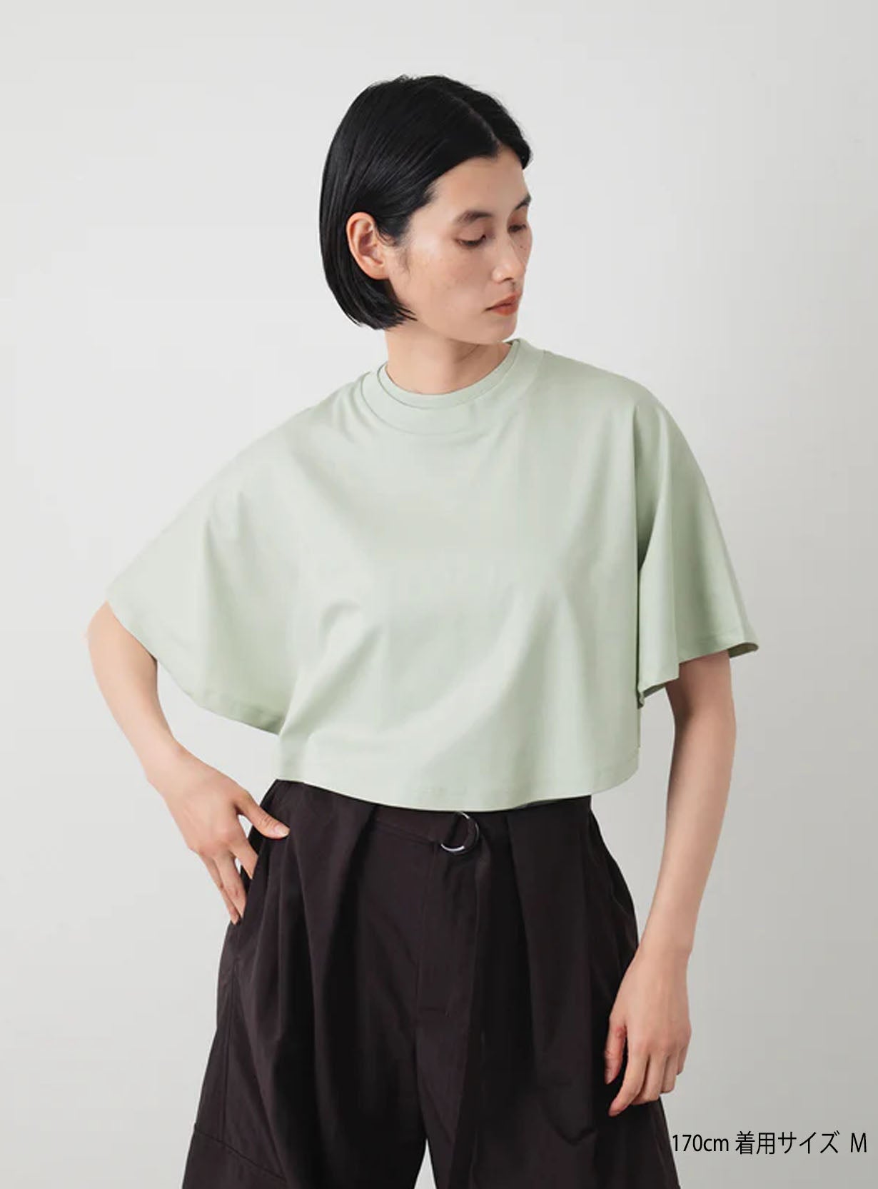 アルビニサーキュラーTシャツ