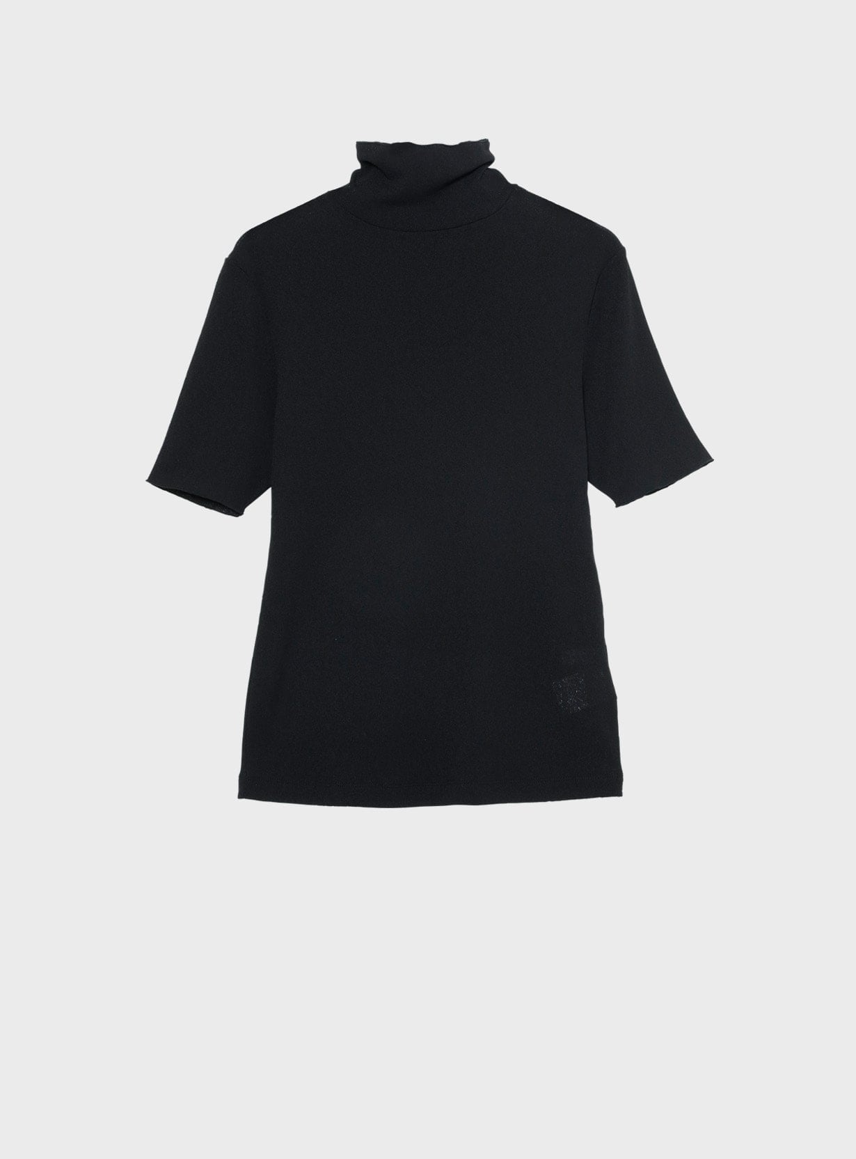 ヌーディドライハーフタートル