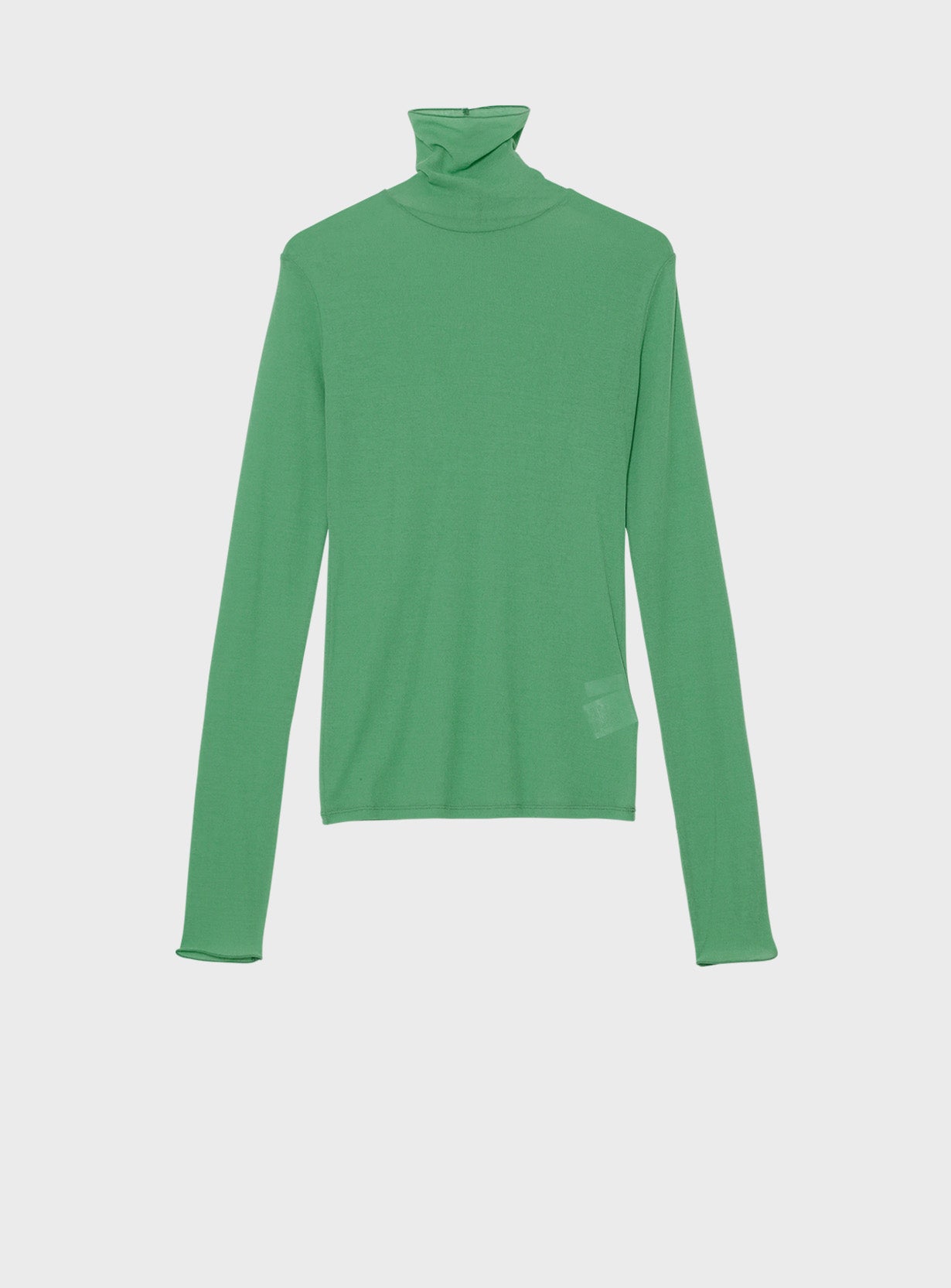 インナーカラータートル