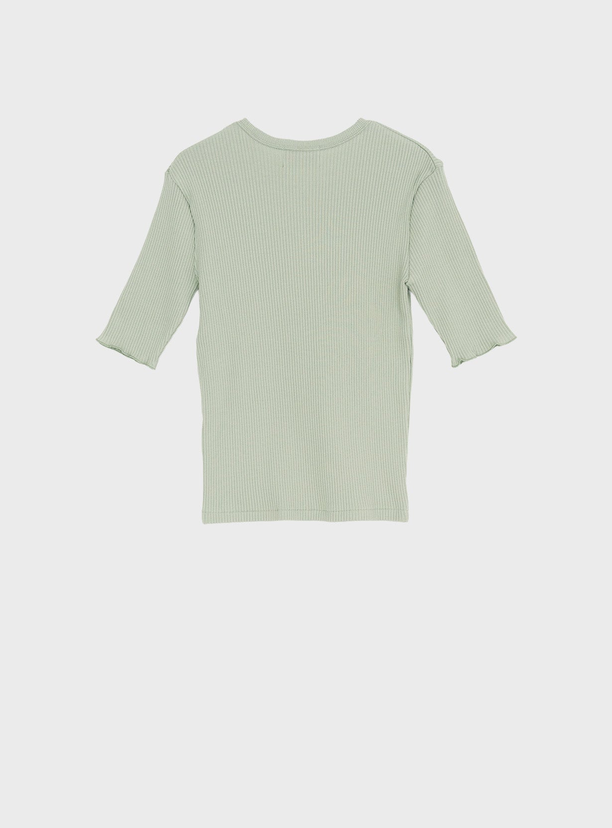 スペインピマハーフT