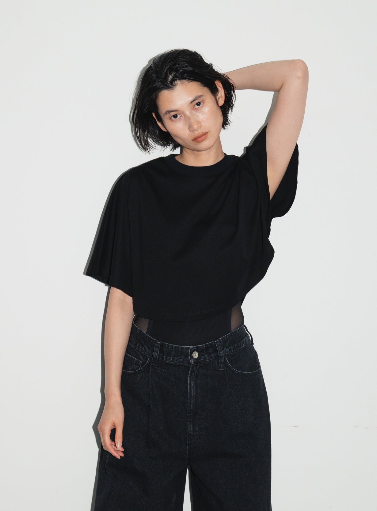 アルビニサーキュラーTシャツ