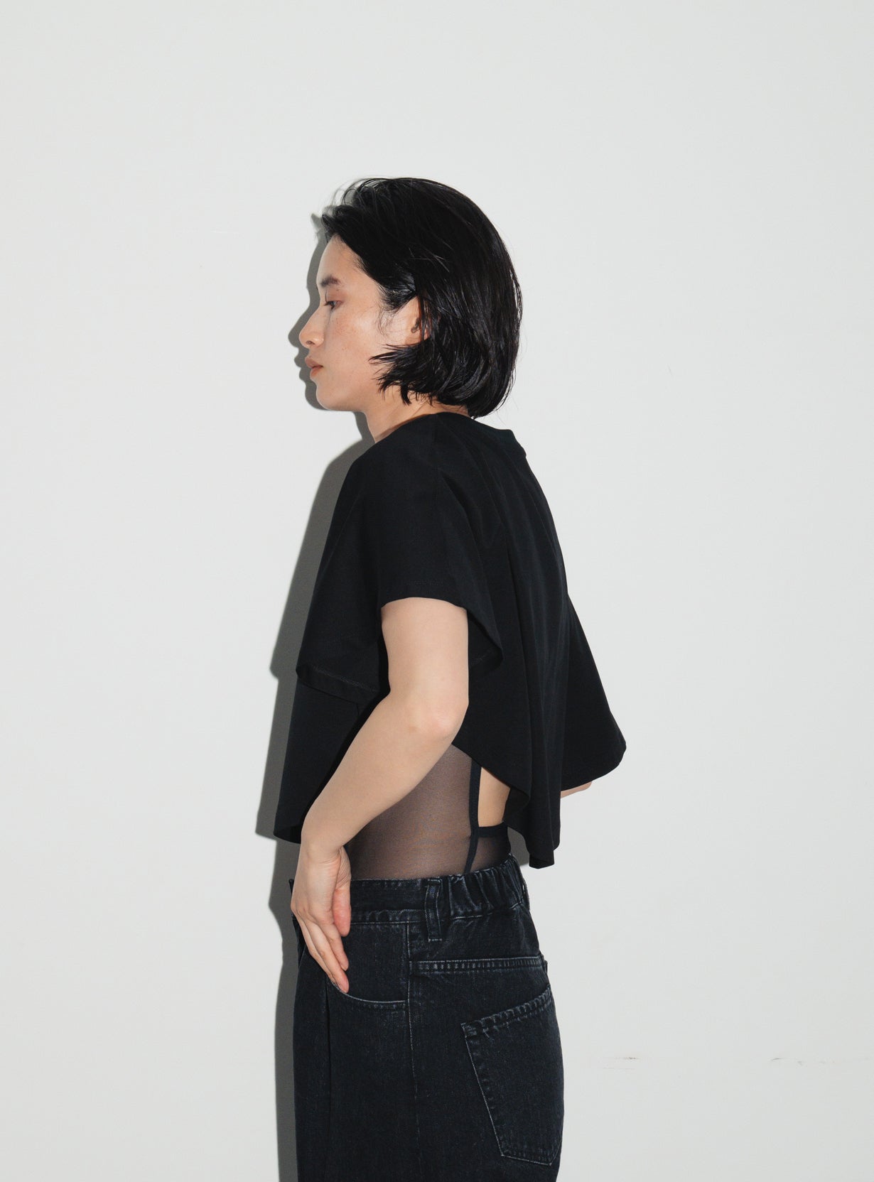 アルビニサーキュラーTシャツ