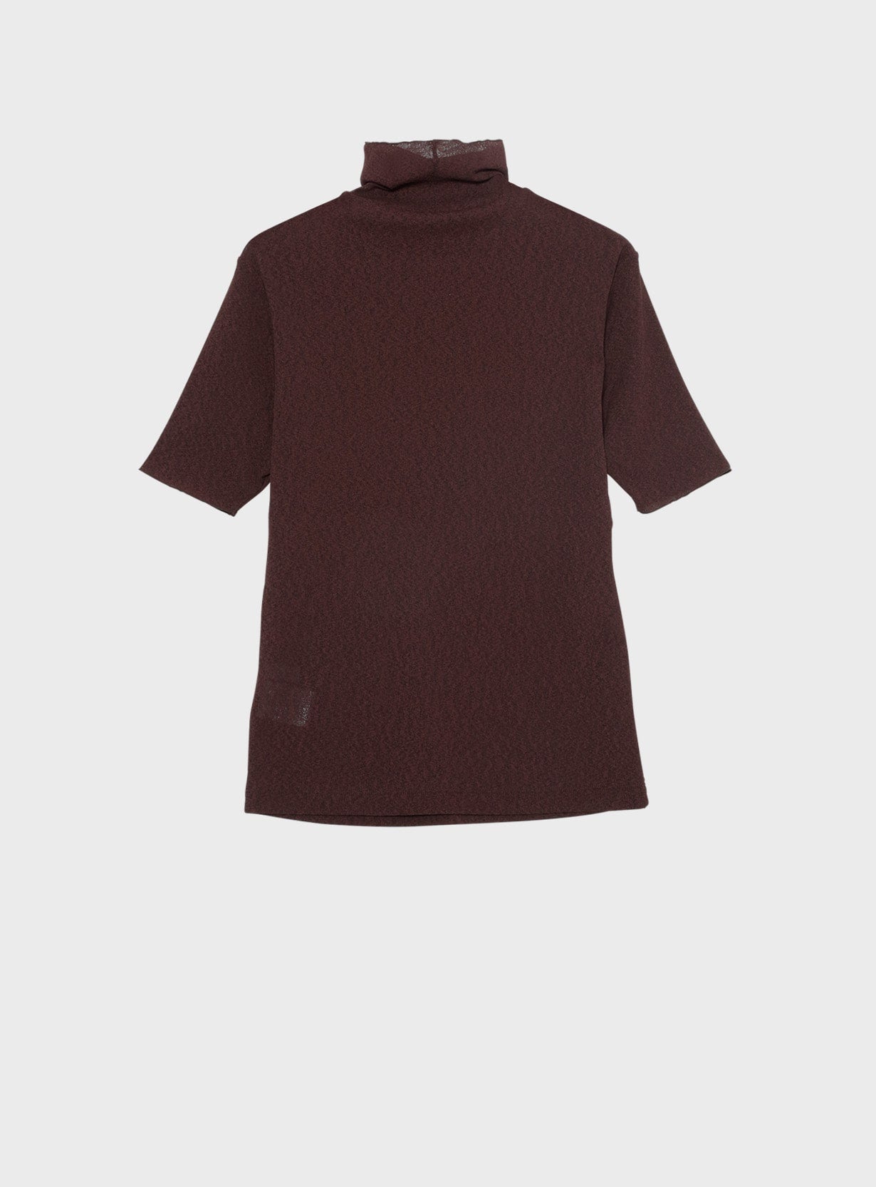 ヌーディドライハーフタートル