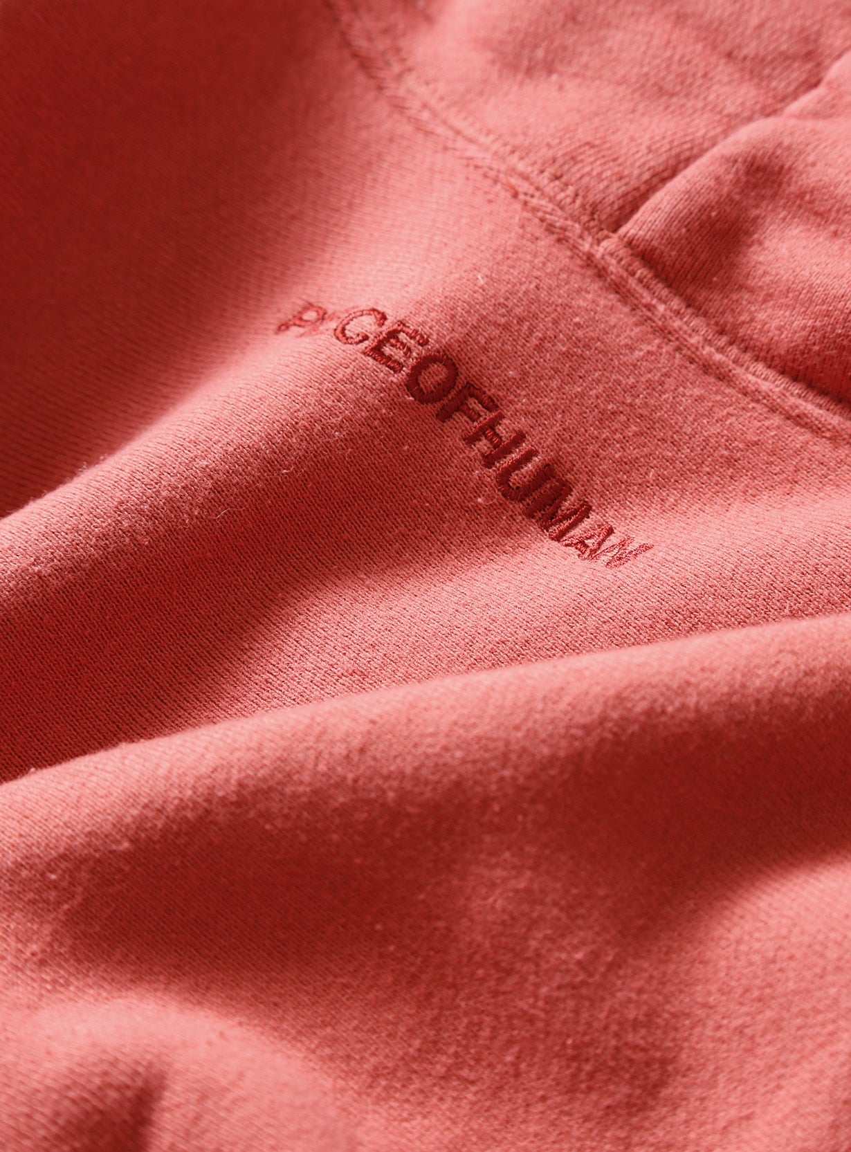 ダメージフーディ