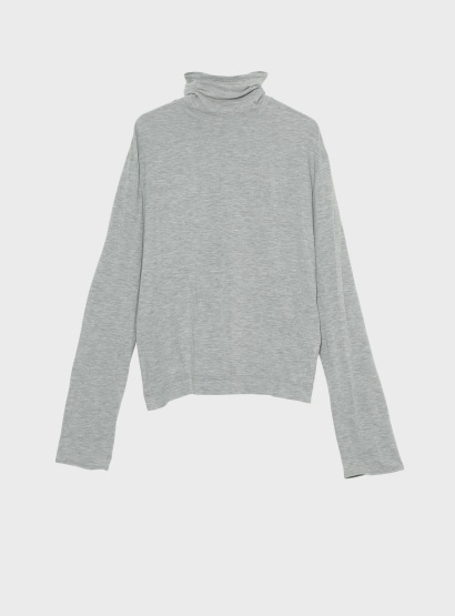 ｒスキンウェルタートル