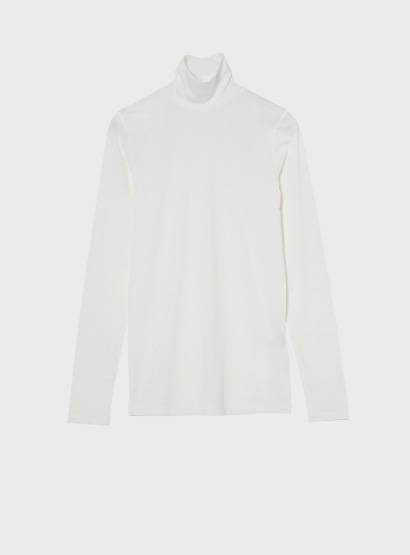 シアータートル