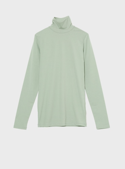 シアータートル