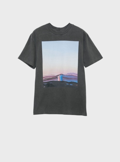 12_CHARCOAL GRAY